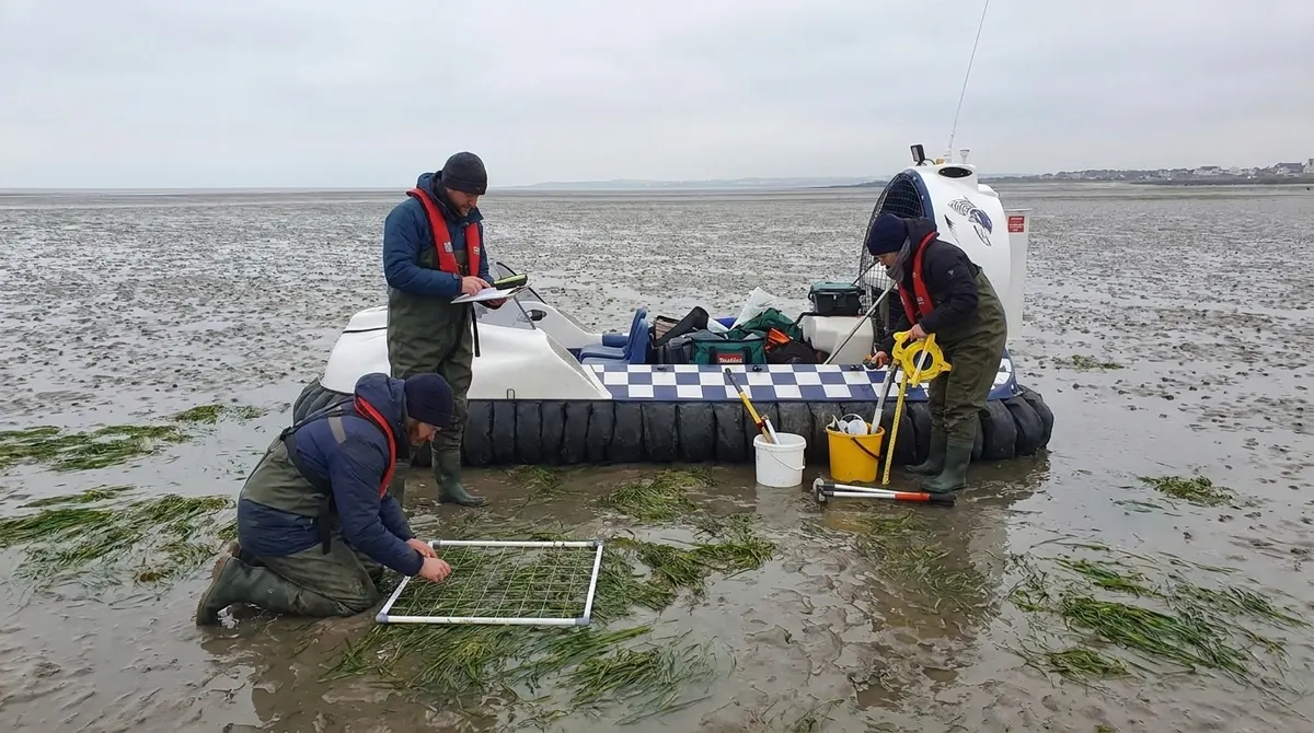 Hovercraft providing low-impact access for seagrass survey work